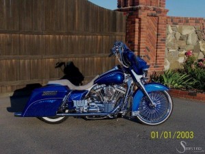 Softails-137