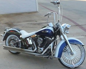 Softails-143