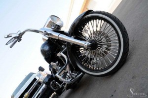 Softails-148
