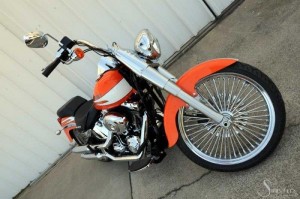 Softails-152