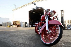 Softails-154