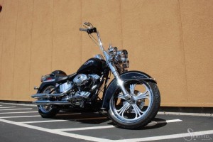 Softails-157