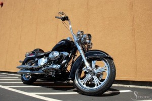 Softails-158