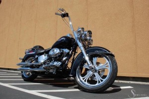 Softails-159