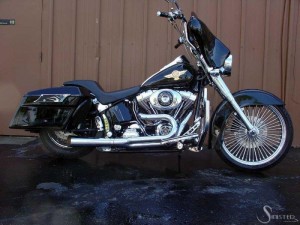 Softails-164