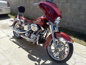Softails-166