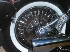 Softails-170