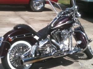 Softails-173