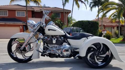 Trike 1031
